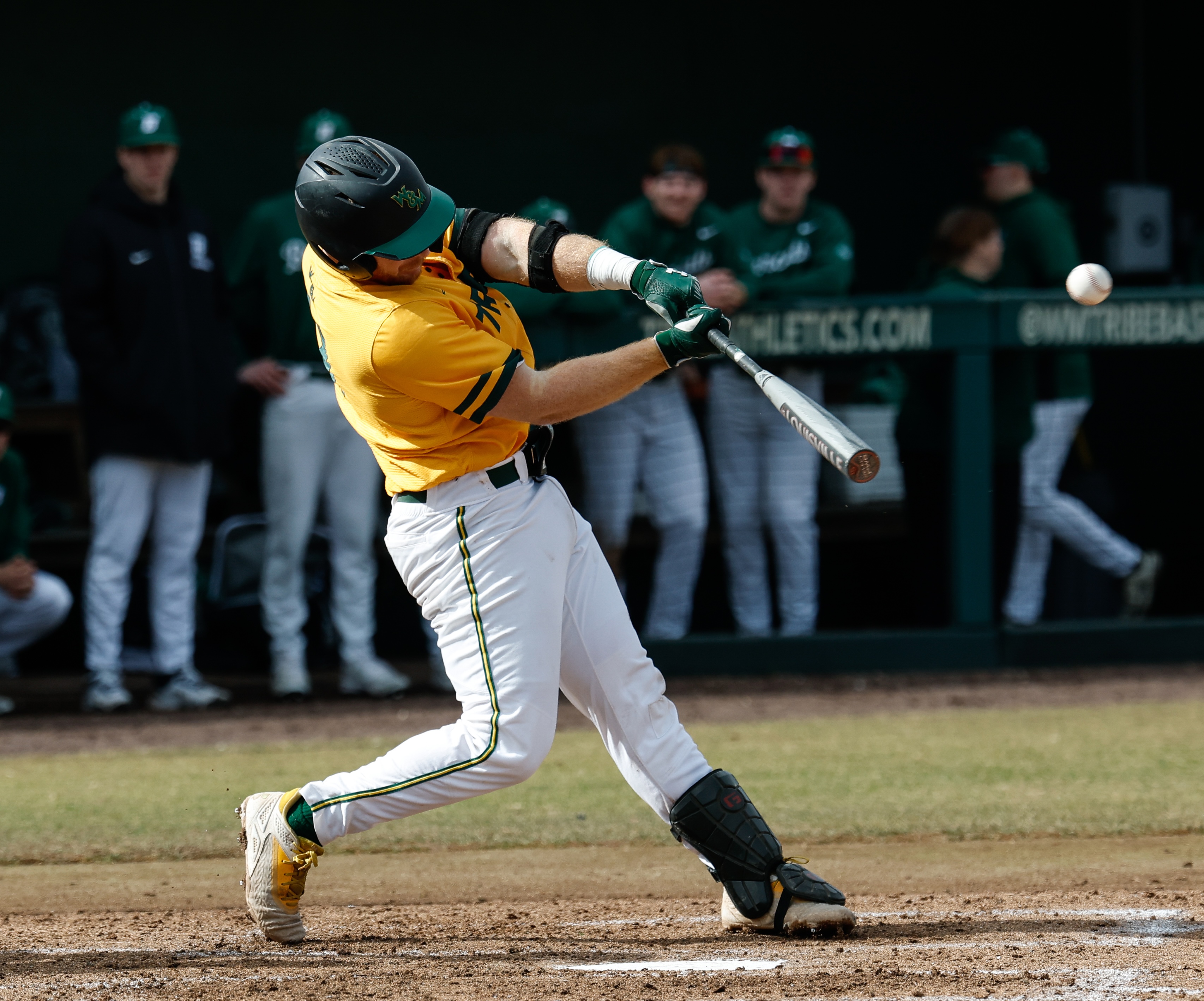 Witt Scafidi batting for William & Mary Tribe Baseball